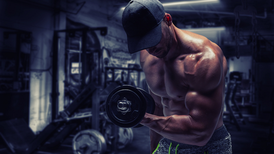 Creatine Monohydrate: Flexing Muscles and Boosting Brainpower